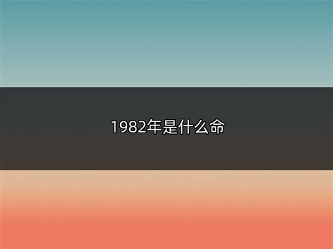 1982什么年|1982年是什么年